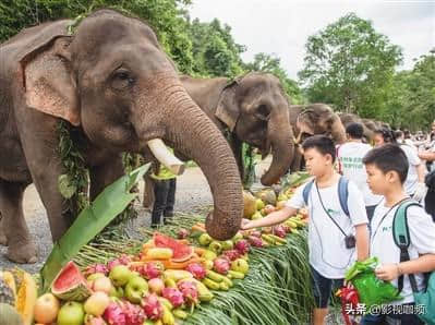 云南旅游必去几个景点，你去过几个？