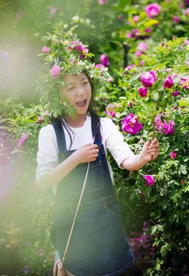 五月花季丨威海五月赏花地图，给你一个七彩的初夏！