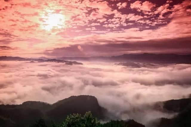 花中一绝！磐安这里芍药花开了，五一就约起~