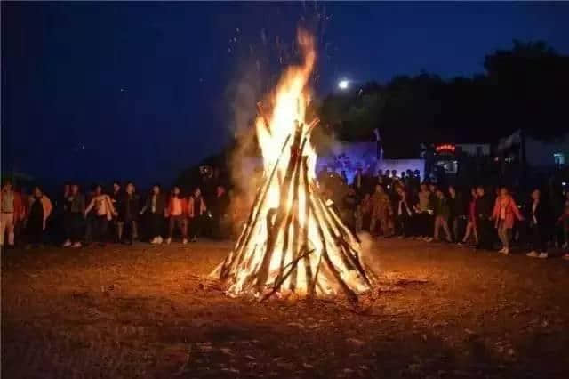 花中一绝！磐安这里芍药花开了，五一就约起~