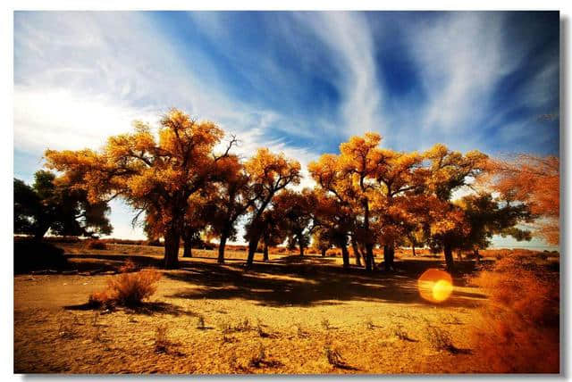 秋天了，最美的秋景等着你去欣赏，一波攻略送给你！