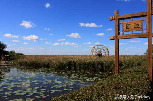 中国原来这么美——盘锦红海滩