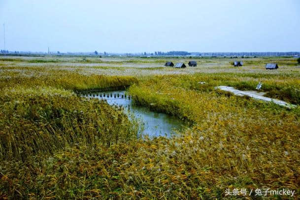 中国原来这么美——盘锦红海滩