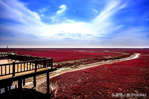 中国原来这么美——盘锦红海滩