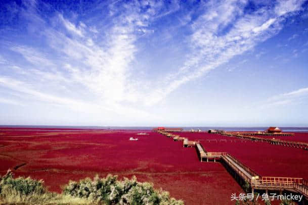 中国原来这么美——盘锦红海滩