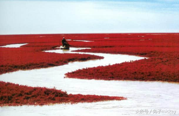 中国原来这么美——盘锦红海滩