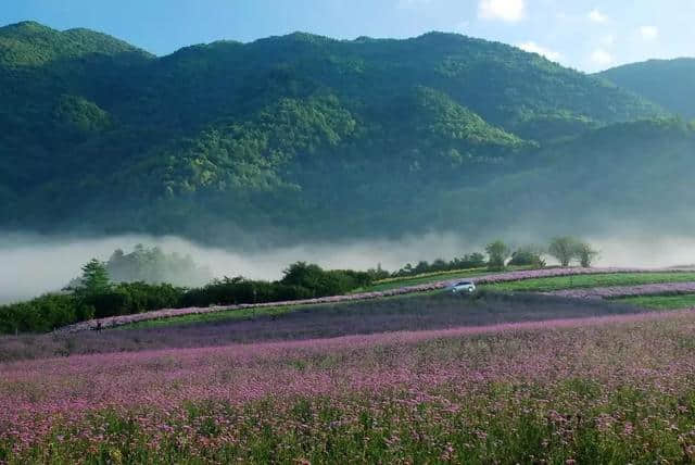 新鲜出炉！万州及周边多条旅游精品路线，值得每个人去耍