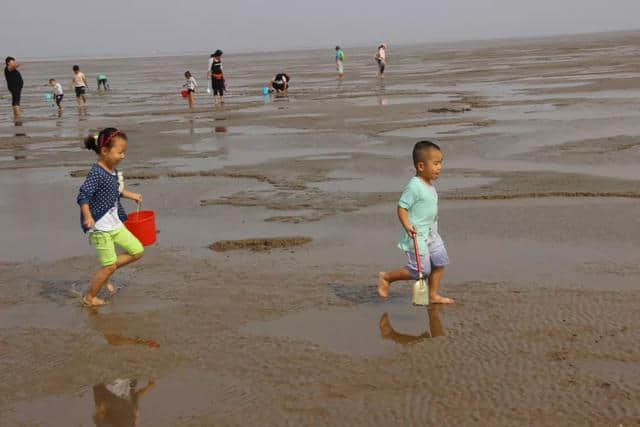 想你时你在“闹海”｜垦利赶海拾贝节带你嗨翻天