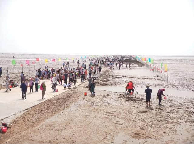 想你时你在“闹海”｜垦利赶海拾贝节带你嗨翻天