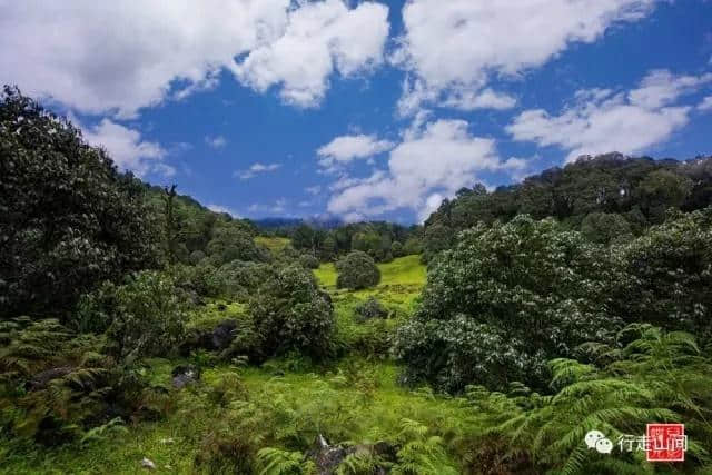 攀枝花旅游之格萨拉绿石林