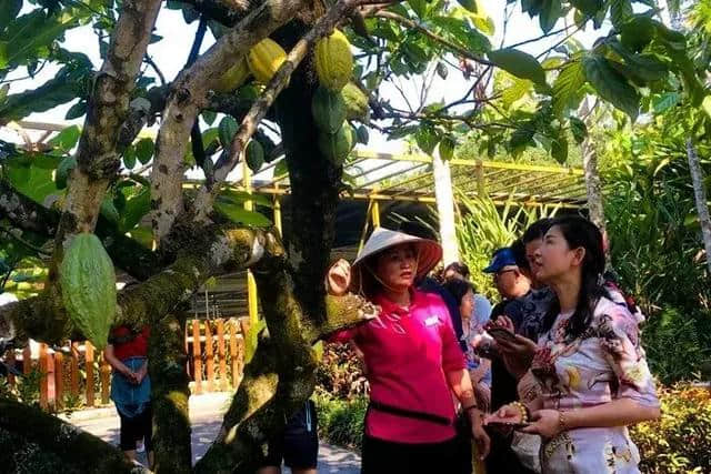 万宁兴隆“植物王国” 吸引游客体验研学游