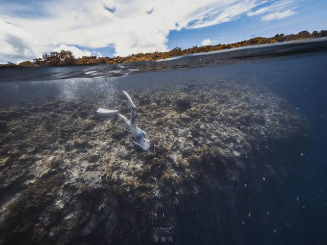 一生必去的海岛国家——帕劳