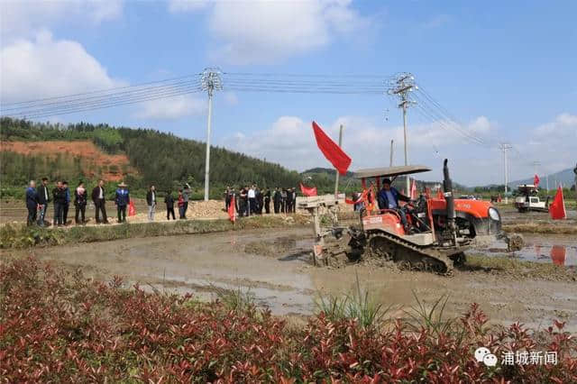 浦城来了一群人，走进田间地头话发展......