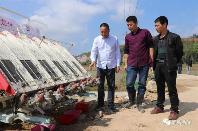 浦城来了一群人，走进田间地头话发展......