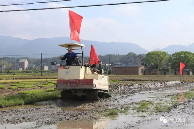 浦城来了一群人，走进田间地头话发展......