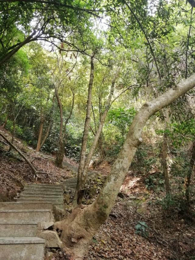 河源万绿湖风景