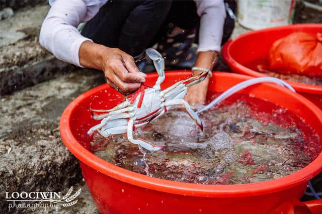 吃不完的海鲜和百米深蓝大海，和妹子外伶仃岛游记