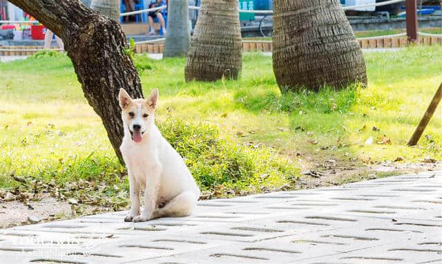 吃不完的海鲜和百米深蓝大海，和妹子外伶仃岛游记