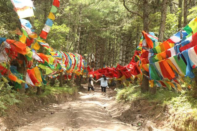 溜溜的情歌，溜溜的城，康定最全攻略（亲身旅行游记）