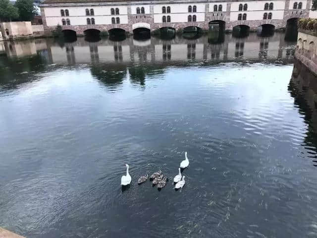 欧洲旅行新玩法，乘着维京游轮向浪漫莱茵河、蓝色多瑙河出发吧！