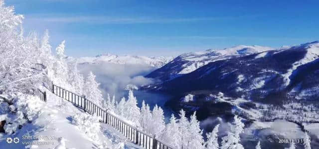 冬游喀纳斯｜这里的迷人雪色，美到连空气都被凝固了