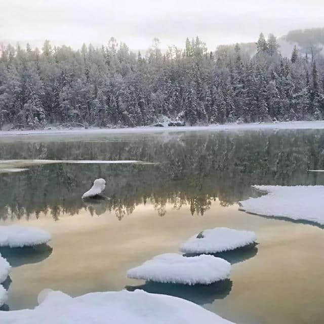 冬游喀纳斯｜这里的迷人雪色，美到连空气都被凝固了