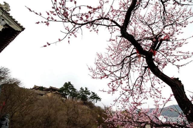 【旅游】4月1日起，崆峒山景区实行全价门票政策，110元/人