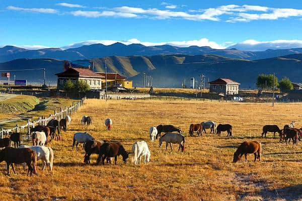 康定11月天气温度怎么样 十一月去康定旅游穿什么衣服鞋子合适