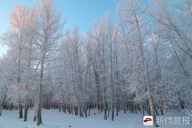 一路看景，哈巴河打造喀纳斯至哈巴河冬季漫游自驾线路