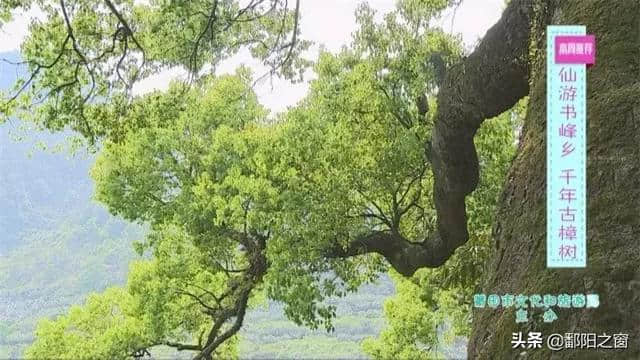 古囊峢巘，天龟旅游路……莆田这些必备打卡景点，千万别错过