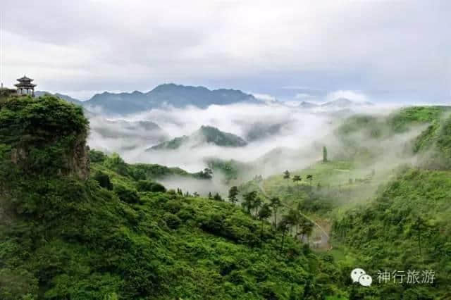 水上走钢丝、穿越金三角、飞夺泸定桥……胆大的人都来磐安这个景区了！