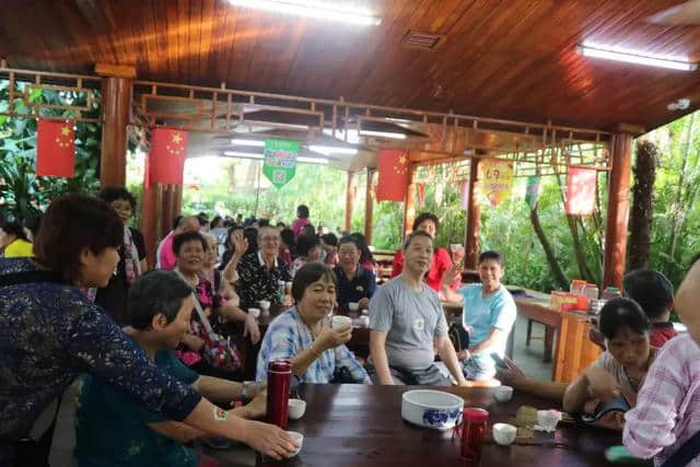 椰风含笑迎远客，兴隆相聚话当年@兴隆热带植物园