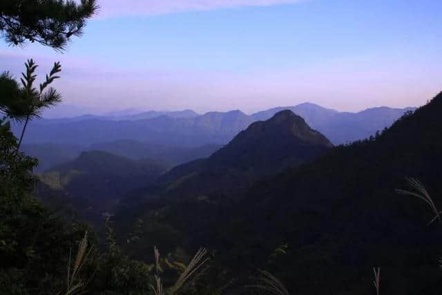 浦城首届旅游产业发展大会暨第二届丹桂文化旅游节隆重举行