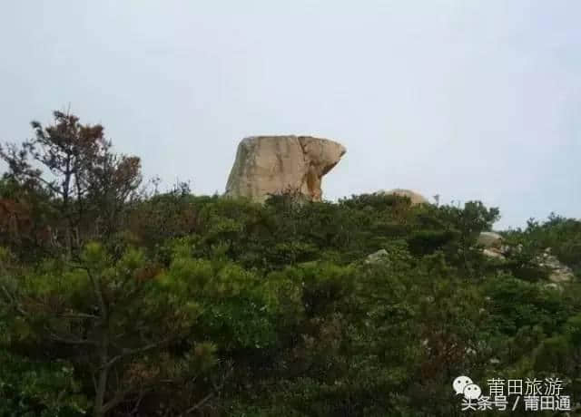 「旅游」莆田也有海上“动物园”，你肯定不知道！