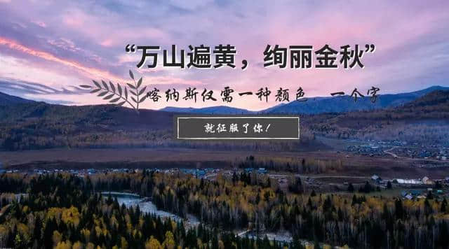 “万山遍黄，绚丽金秋”，喀纳斯仅需一种颜色，一个字就征服了你