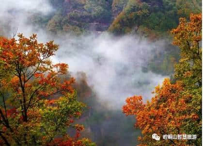 「美景」心有余芳，大美平凉！