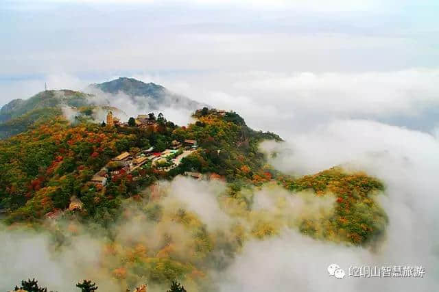 「美景」心有余芳，大美平凉！