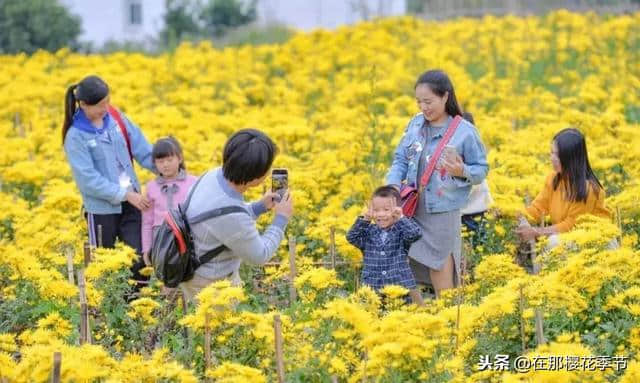 萍乡冬季旅游精品线路上线啦，一起来欣赏萍乡冬日里不一样的美吧