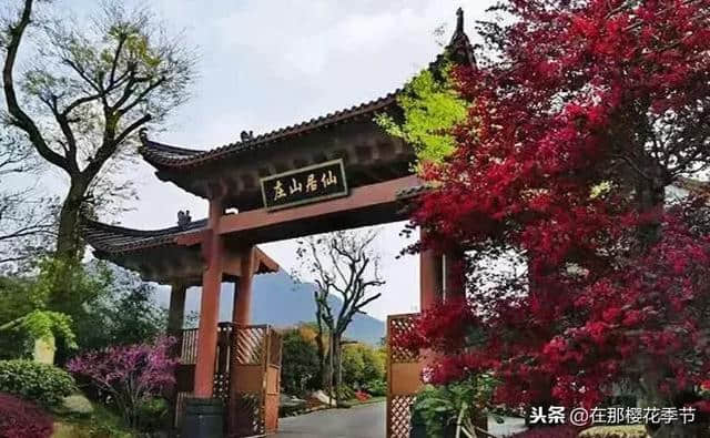 萍乡冬季旅游精品线路上线啦，一起来欣赏萍乡冬日里不一样的美吧