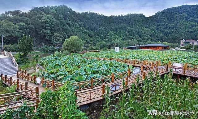 萍乡冬季旅游精品线路上线啦，一起来欣赏萍乡冬日里不一样的美吧