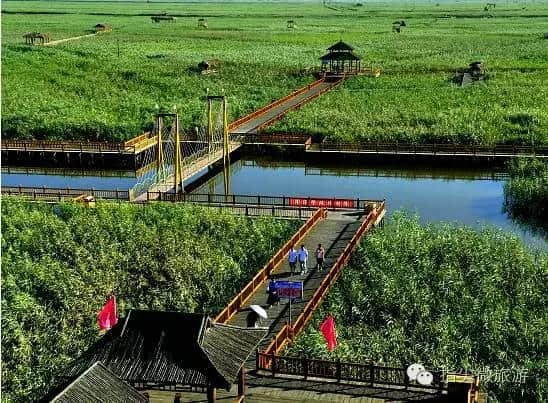 辽宁｜盘锦 红海滩梦想中国，全国大学生暑假之旅来喽