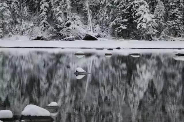 攻略指南｜这个冬季走进喀纳斯，享受西北的最美雪乡！