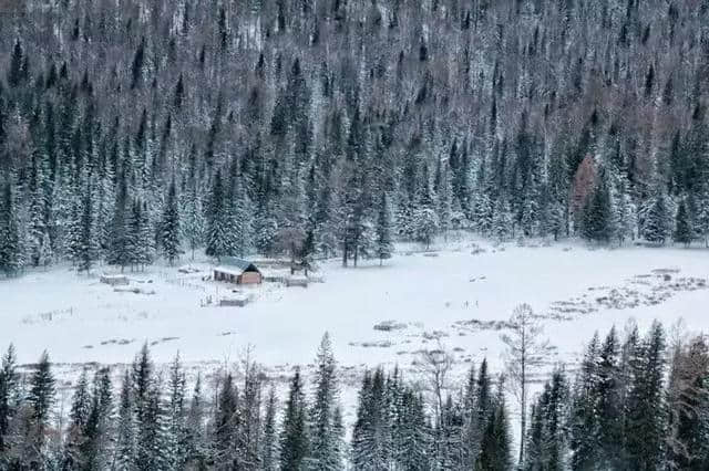 攻略指南｜这个冬季走进喀纳斯，享受西北的最美雪乡！