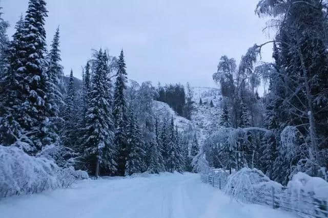 攻略指南｜这个冬季走进喀纳斯，享受西北的最美雪乡！