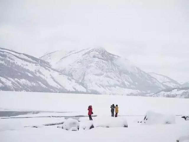 攻略指南｜这个冬季走进喀纳斯，享受西北的最美雪乡！