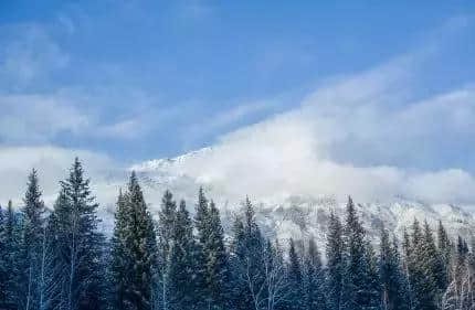 攻略指南｜这个冬季走进喀纳斯，享受西北的最美雪乡！