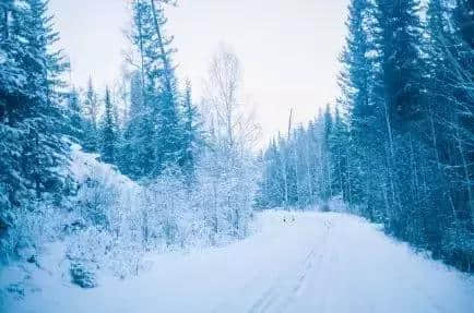 攻略指南｜这个冬季走进喀纳斯，享受西北的最美雪乡！