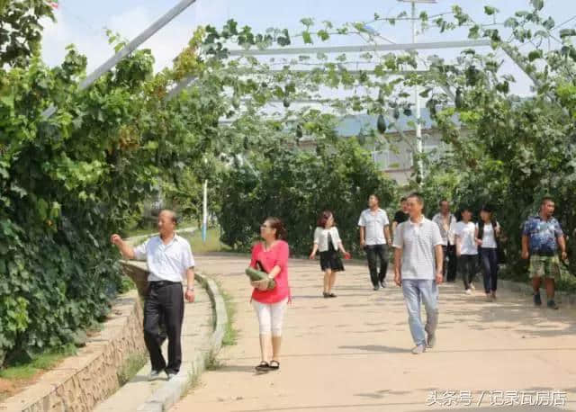 瓦房店“双节黄金周”周边游好去处