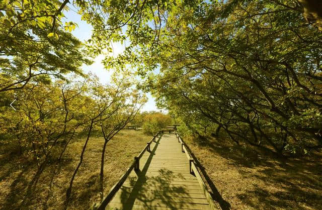 连载∣唐山国际旅游岛传奇——菩提岛的美丽传说