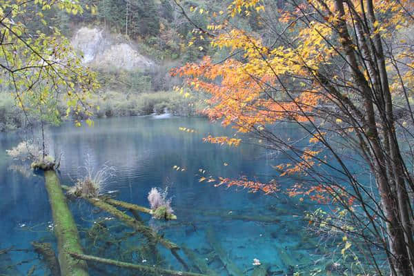 九寨沟自助游必看